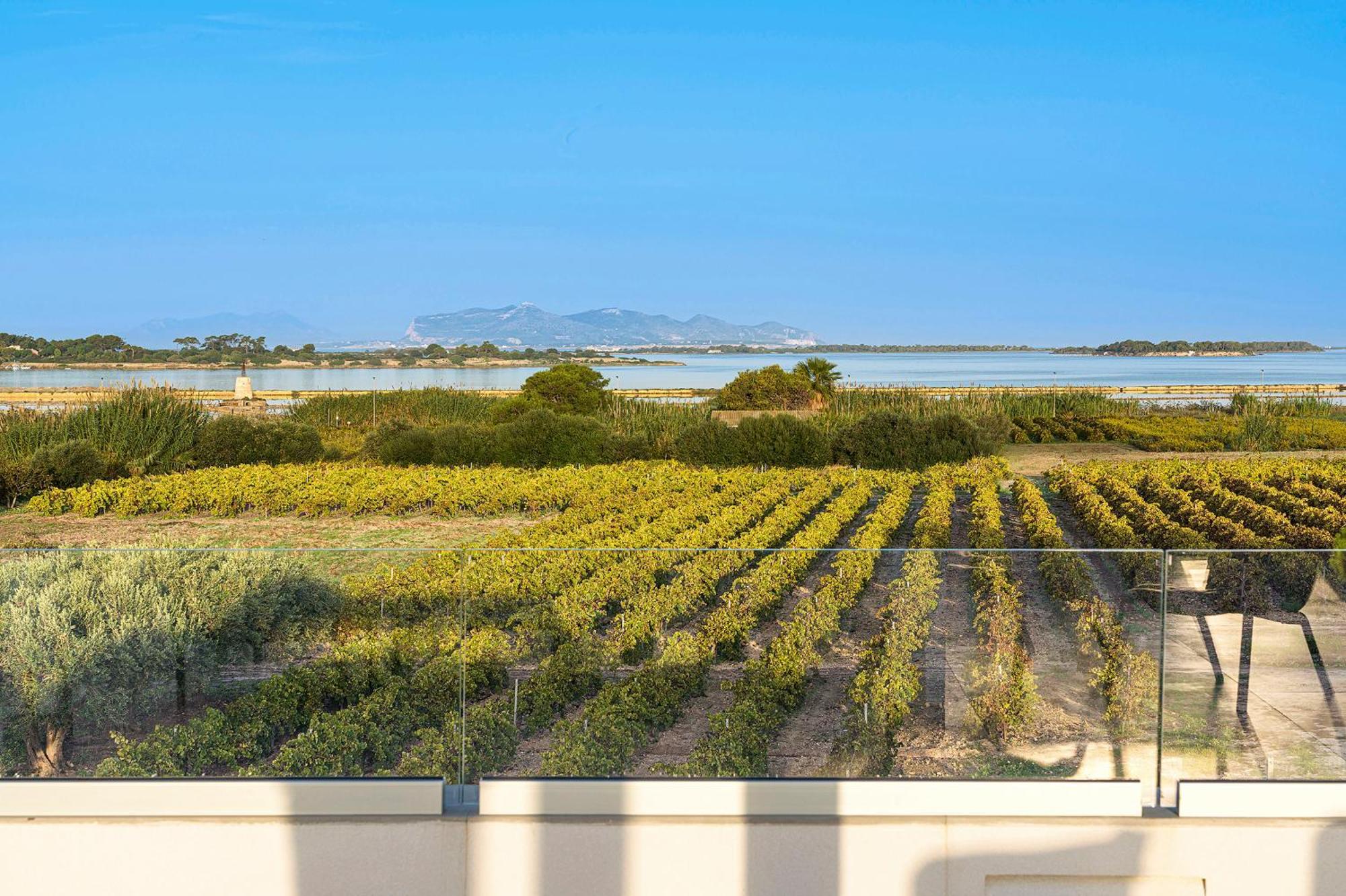 Martina'S Vineyard - Villa Marsala Bagian luar foto
